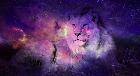 Top 999+ Galaxy Lion Wallpaper Full HD, 4K Free to Use