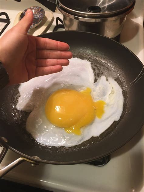 How should I cook a swan egg? : r/Cooking