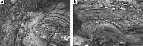 Stromatolites at, and adjacent to, syn-depositional hydrothermal veins ...