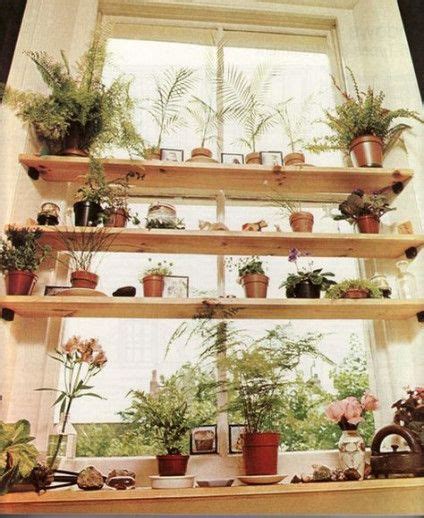 55+ ideas kitchen window garden houseplant | Kitchen plants, Window plants, Kitchen window plants