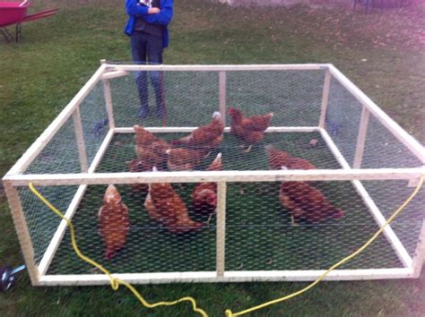 Hale Moa Hen Pen | BackYard Chickens - Learn How to Raise Chickens