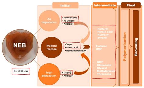 Non-enzymatic browning mechanisms and inhibition in fruit and... | Download Scientific Diagram