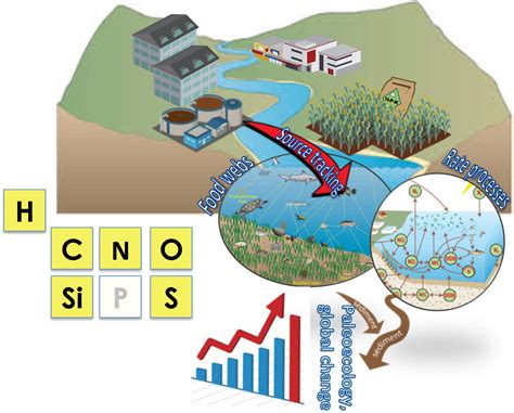 Virtual Issue: Stable Isotopes in Limnology and Oceanography - ASLO