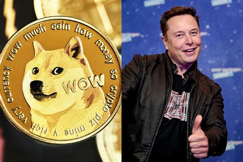 Elon Musk's Dogecoin Obsession Explained