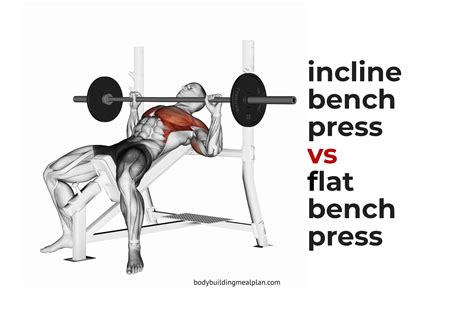 Overhead Press Muscles Used