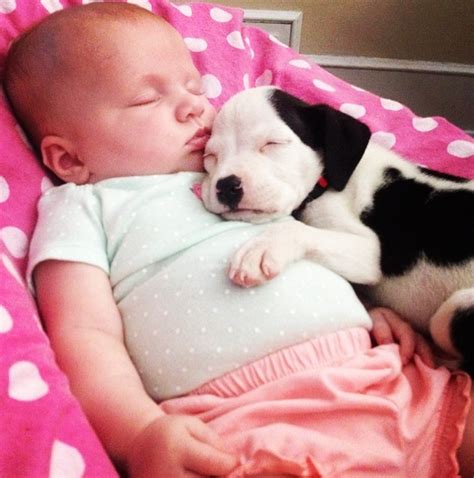 Baby and Pit Bull Snuggle Up, Are Adorable Best Friends - The Hollywood ...