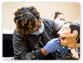 Dallas Dental Assistant School | 12-Week Dental Assisting Program