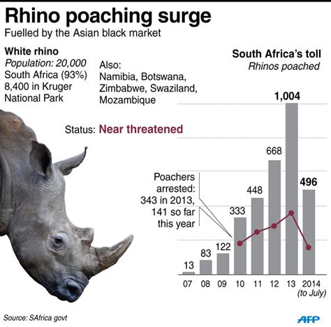 Latest rhino poaching statistics