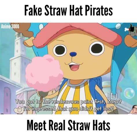 Anime 3000 - Fake Straw Hat meet Real Straw Hat