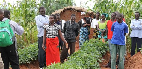 How low-tech farming innovations can make African farmers climate-resilient