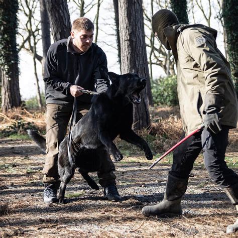 Best Guard Dog & Protection Dog Training - Obedience is Key