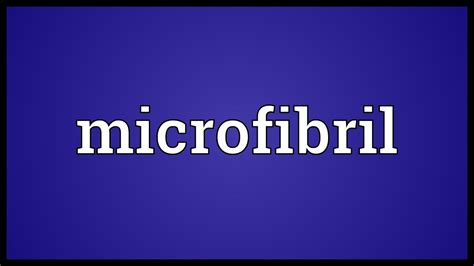 Microfibril Meaning - YouTube