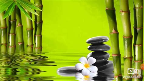 Nhạc thư giãn - relax time 100% hiệu quả hết đau đầu, giúp đọc sách, thiền, nhịp tim nhanh, dễ ...