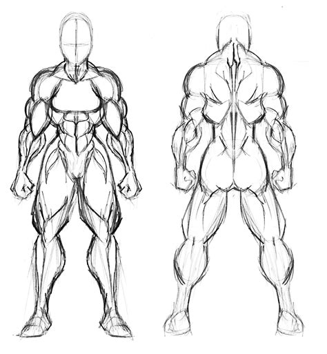 Muscled Woman Template – Vanguard