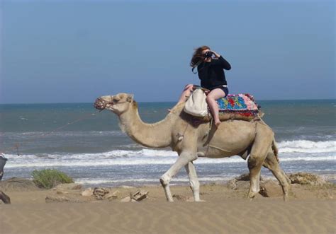 Camel Treks in Morocco: Uncover Ancient Nomadic Past in the Sahara - Moroccan Journeys