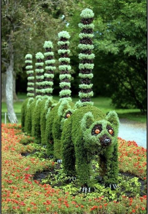 Pin di C Gall su Home - Garden | Sculture da giardino, Arte topiaria per giardino, Piante