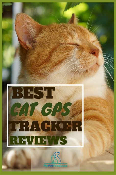 Best Cat GPS Trackers - Reviews 2019 - 2020 | Cats, Cat gps, Cool cats