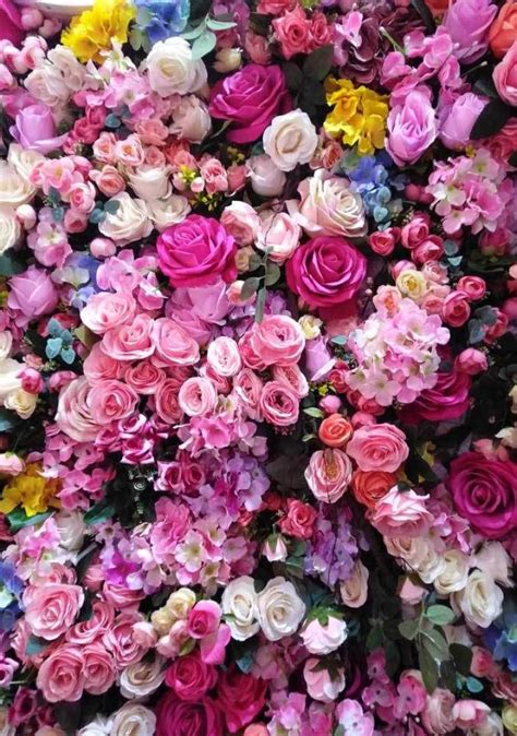 Celebrate summer with these 20 pretty flowers iphone background #wallpaper #flowers # ...