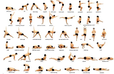 yoga asanas names | Yoga Burn | Basic yoga poses, Basic yoga, Beginning yoga