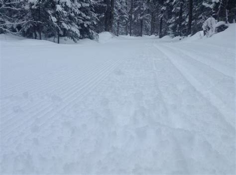 Freshly groomed trails @ ABR ski trails in Ironwood, Michigan Ironwood Michigan, Ski Trails ...