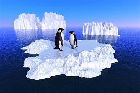 Banco de Imágenes Gratis: Pinguinos en los glaciares - Animales en el mar - Polo norte