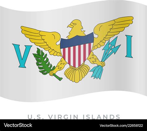 Us virgin islands waving flag icon Royalty Free Vector Image