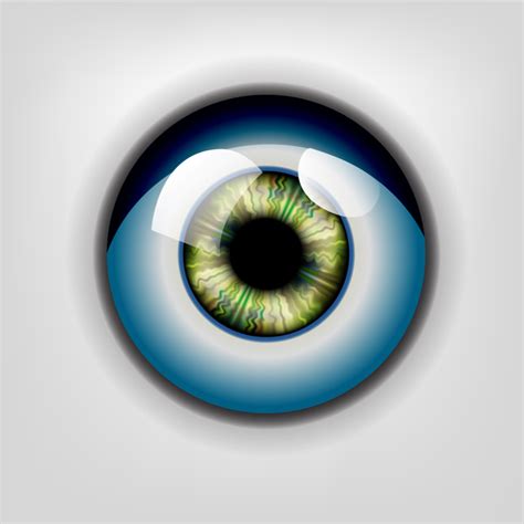 Eye realistic Vectors images graphic art designs in editable .ai .eps .svg .cdr format free and ...