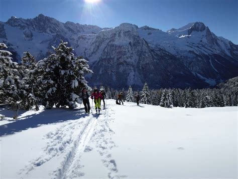 Snowshoeing in Cortina d’Ampezzo in the Dolomites | Freedome