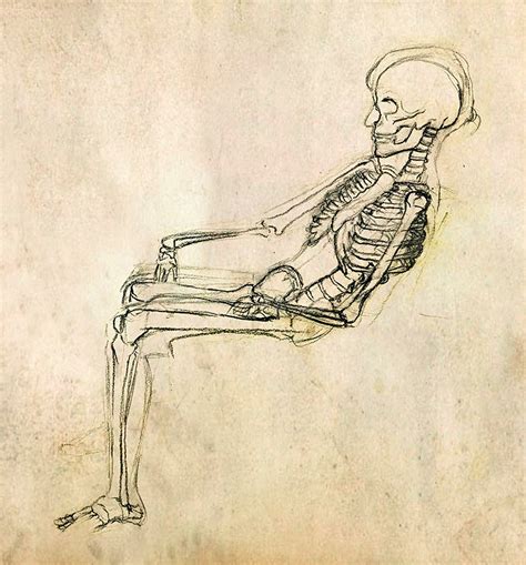 A skeleton sitting down 2 by cimbum on DeviantArt