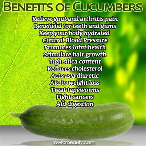 Best 25+ Cucumber benefits ideas on Pinterest | Cucumber benefits skin, Cucumber health benefits ...