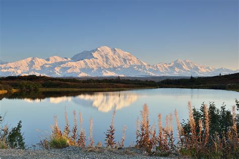 Hit the jackpot during the Denali National Park Road Lottery - Westmark ...