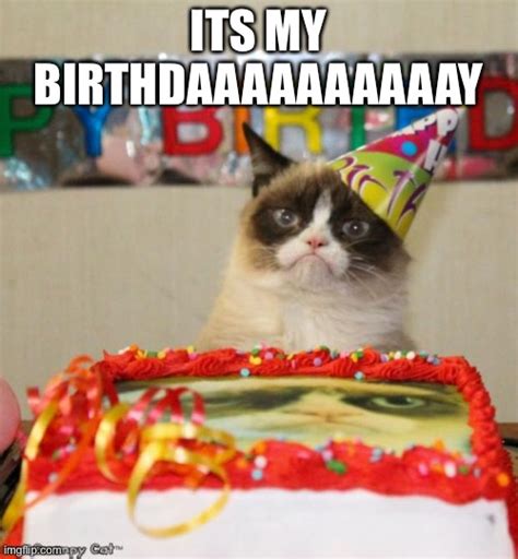 Grumpy Cat Birthday Meme - Imgflip