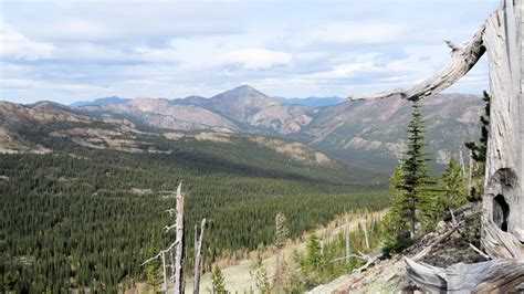 Reminder: Flathead National Forest announces next forest plan open house | North Fork ...