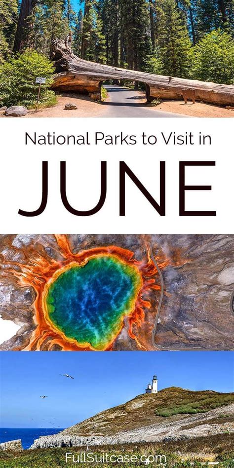 15 Amazing U.S. National Parks to Visit in June (+ Planning Tips)