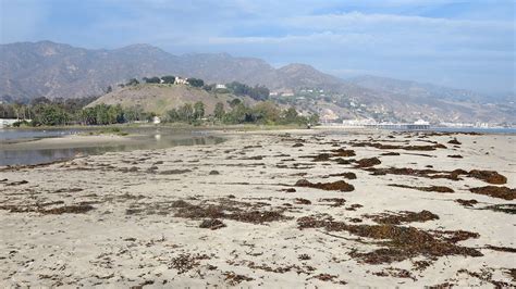 Malibu Lagoon State Park CA IMG_5549 | Hartmut Walter | Flickr