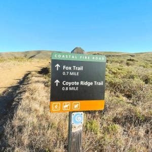 Tennessee Valley Trail - A Top Bay Area Hike - Carrie Green-Zinn