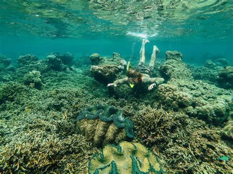 The Sunken Cemetery In Camiguin - Visitor's Guide