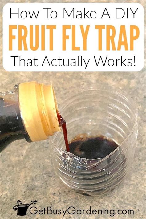 How To Make A Homemade DIY Fruit Fly Trap in 2023 | Homemade fruit fly trap, Diy fruit fly trap ...