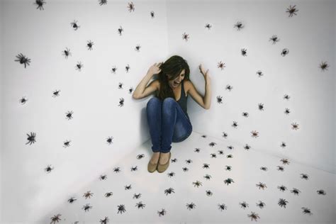 Phobias Are a Common Mental Illness - Mental Health - Health Journal