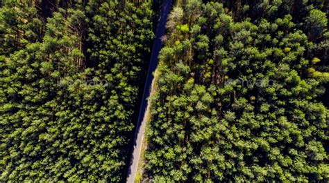 Aerial Drone View Over Forest at Spring Stock Photo by merc67 | PhotoDune