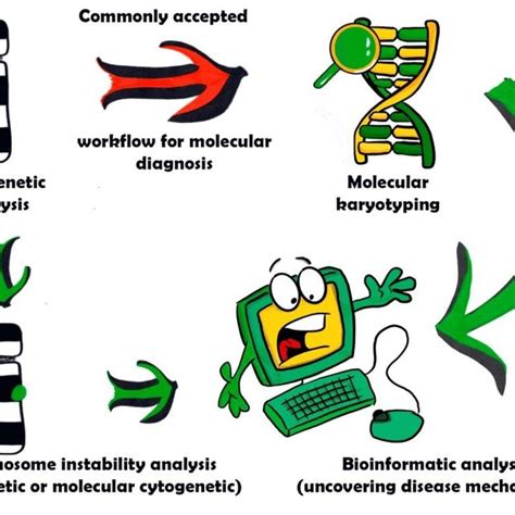 Fig. S1. Correlations between levels of Mps1 and disease-free survival... | Download Scientific ...