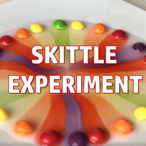 Try this fun skittle science experiment with the kids at home! Fun colorful rainbow craft for ...