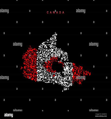 Canada flag map, chaotic particles pattern in the colors of the ...