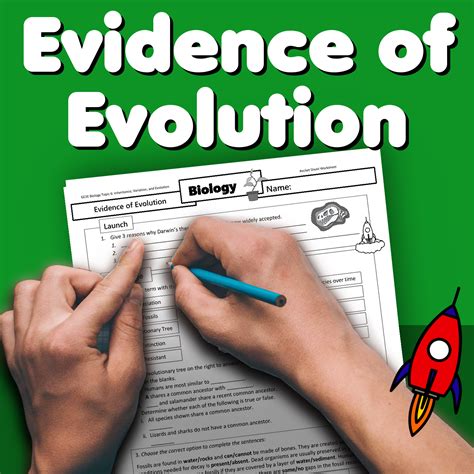 Evidence of Evolution Home Learning Worksheet GCSE - rocketsheets.co.uk