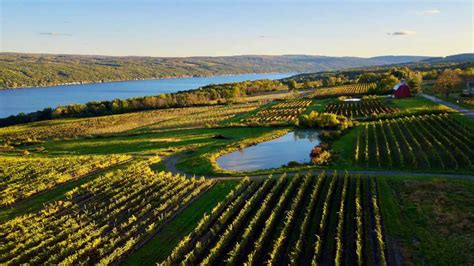 Best Seneca Lake Wineries