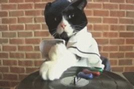 Funny Cat DJ Gif Animations Images for Google Plus