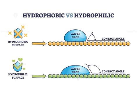 Hydrophobic vs hydrophilic surface effect on water drop outline diagram - VectorMine