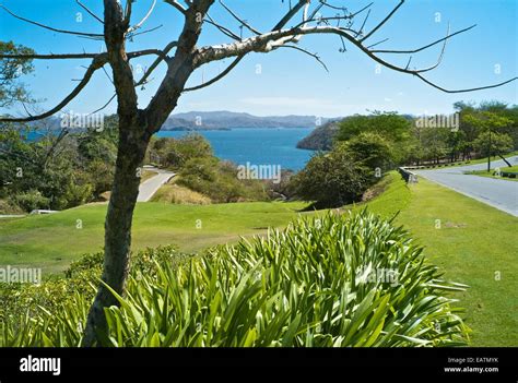 A golf course on Peninsula Papagayo Stock Photo - Alamy