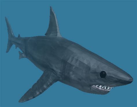 Shark | Roblox Shark Bite Wiki | FANDOM powered by Wikia