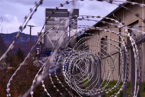 COVID-19 Infections Spread In Georgia’s Correctional Facilities – Ipsum Diagnostics – Ipsum ...